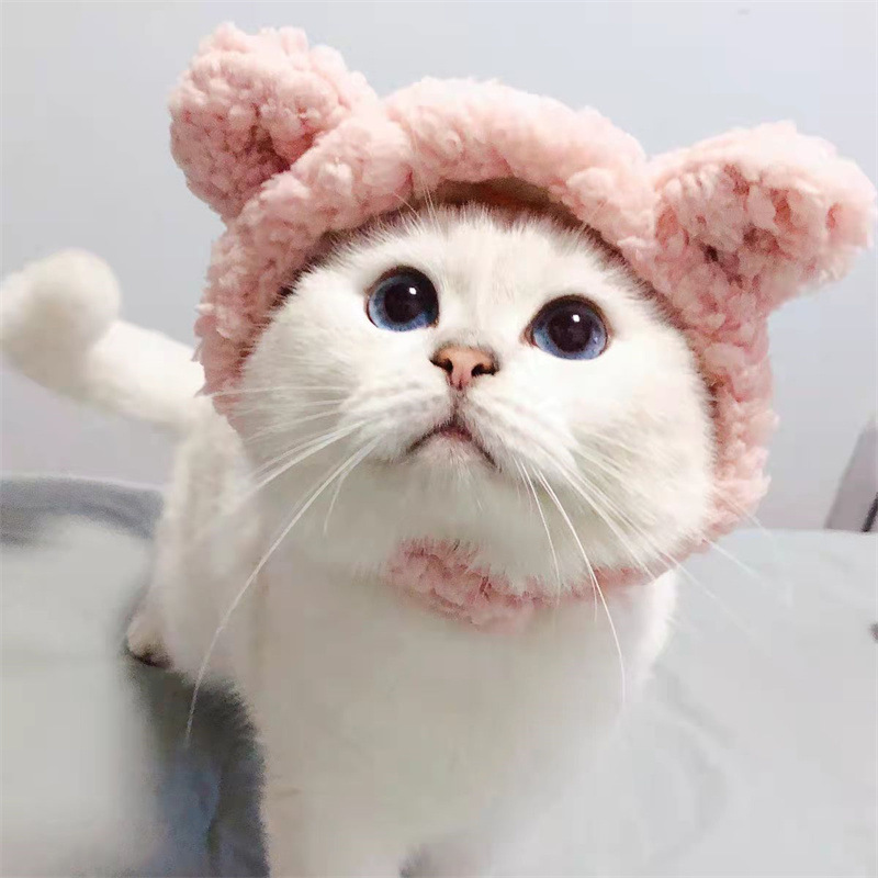 Cat and Dog Hat Comfortable Short Plush Bear Headgear Cat and Dog Cute Headgear for Cat Chihuahua Small Dog Pet Accessories
