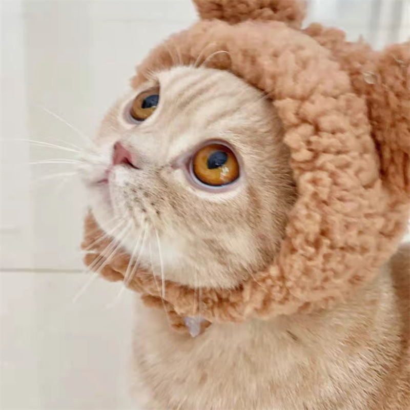 Cat and Dog Hat Comfortable Short Plush Bear Headgear Cat and Dog Cute Headgear for Cat Chihuahua Small Dog Pet Accessories