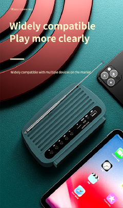 Bluetooth speaker FM radio TF Card U disk Bluetooth 5.0 portable Bluetooth speaker subwoofer