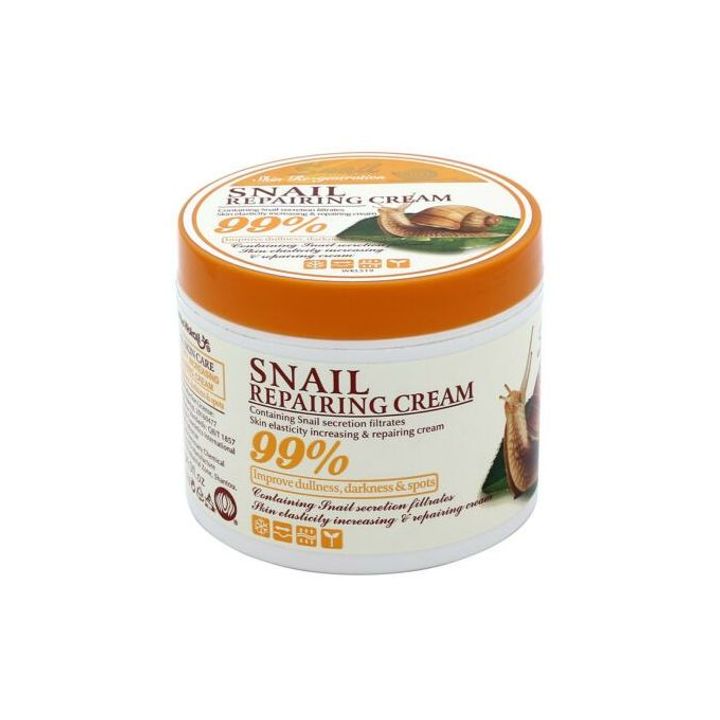 Snail Repairing Cream Anti-Aging Elasticity Sunburn Scars and Dark Spots - 115g