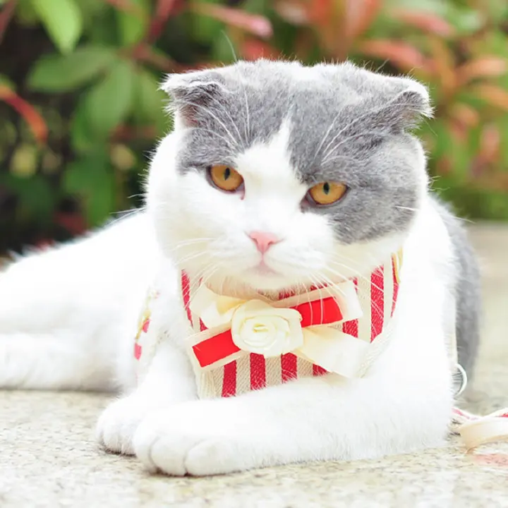 Elegant Bow Dog Collars Necktie Traction Rope Pet Harness for Small Medium Dogs Cat Chest Strap Dog Accessories