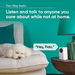 1080p Wi-Fi Indoor Smart Home Camera with Color Night Vision, 2-Way Audio, Compatible with Alexa & The Google Assistant