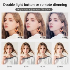 LED Fill Lamp Video Light Panel Bi-color Photography Lighting Live Stream Photo Studio Light With Stand