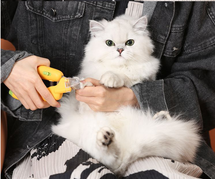 Professional Pet Nail Clipper Scissors Pet Dog Cat Nail Toe Claw Clippers Scissor LED Light Nail Trimmer for Animals Pet