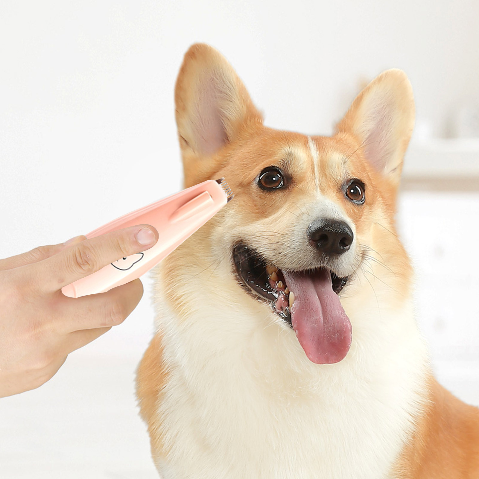 Pet Hair Trimmer Set Dog Grooming Clippers with LED Light Cat dog Electric Hair Clippers foot wool Shaver Pet Hair cut Supplies