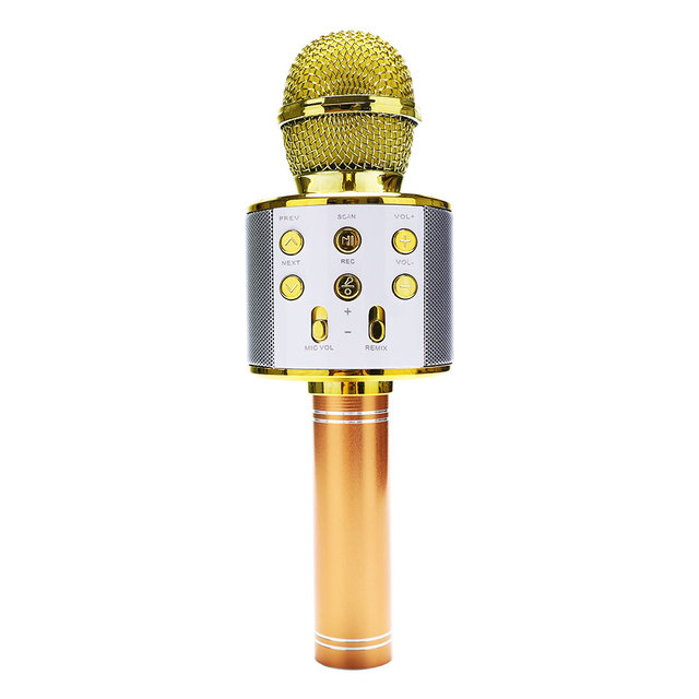 WS858 Portable Bluetooth Karaoke dj Microphone Wireless Professional Speaker Home KTV Handheld Microphone mikrofon
