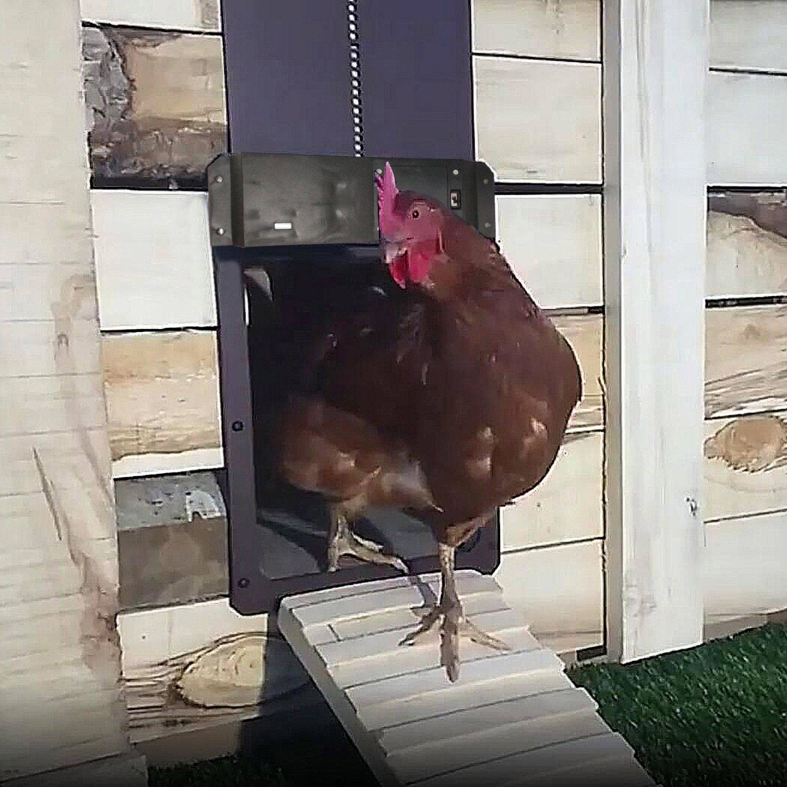 Automatic Chicken Coop Door Light Sense Door Opener Poultry Garden Chicken Duck Door Opener Practical Chicken Poultry Door