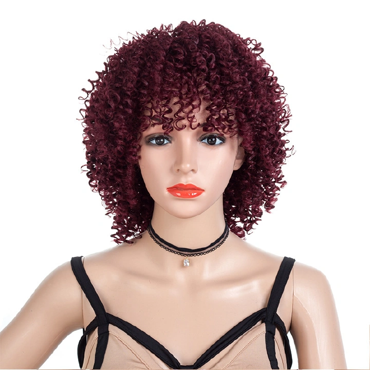 Short Hair Afro Kinky Curly Wig With Bangs Loose Synthetic Cosplay Fluffy Natural Wigs For Black Women