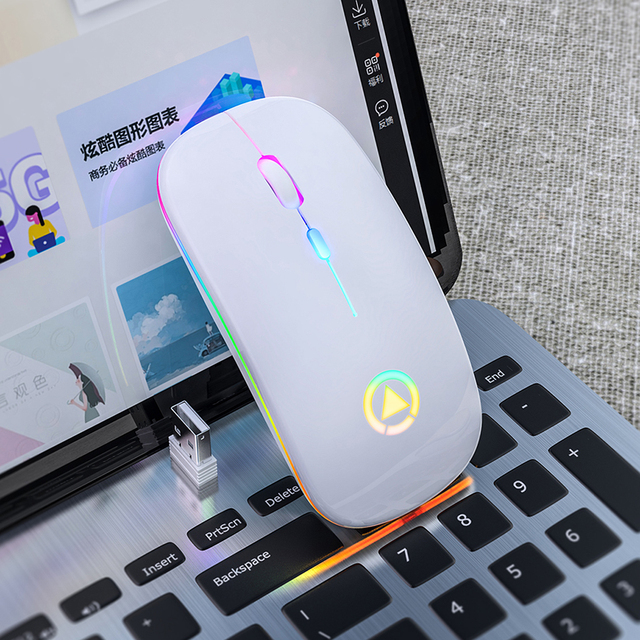 LED Backlit Rechargeable Wireless Mouse USB Receiver Ergonomic Optical Gaming Mouse Silent Desktop PC Laptop Mouse