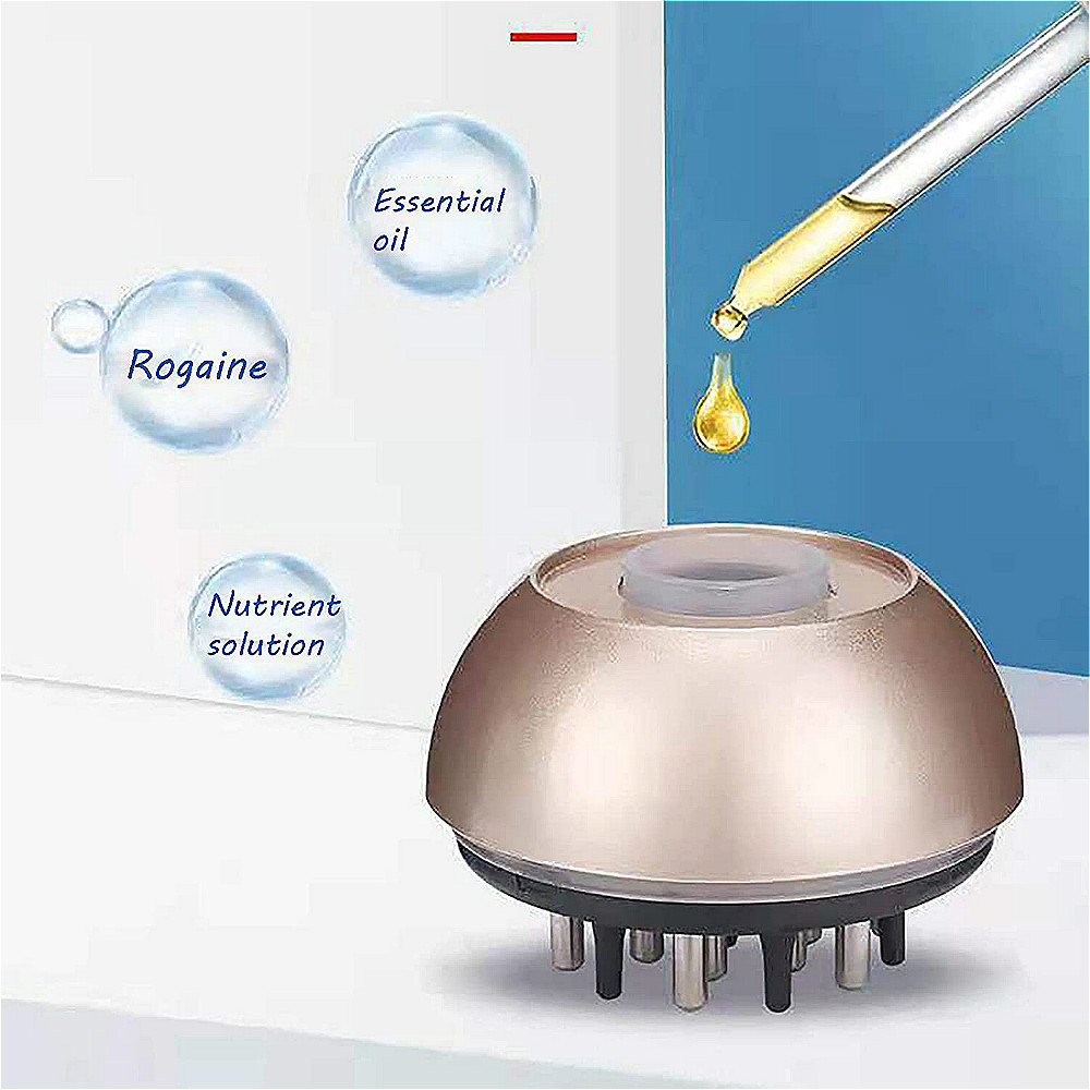 Hair Care Liquid Guide Comb Health Scalp Massage Comb Serum Oil Applicator for Hair Growth Hair Brush Essential Oil Guiding Comb