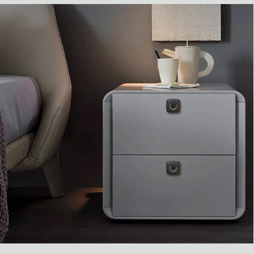 Fingerprint Lock Smart Cabinet Locks Biometric Keyless Furniture Drawer Cabinet Wardrobe Fingerprint Locks For Drawer Cabinet