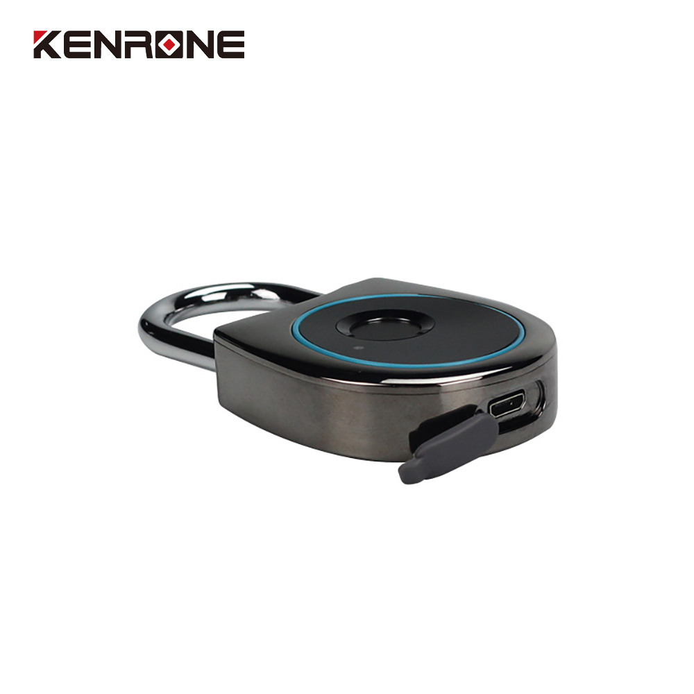 Smart Convenient Home Travel Luggage Gym Cabinet Dormitory Fingerprint Padlock Door Lock Intelligence Padlock