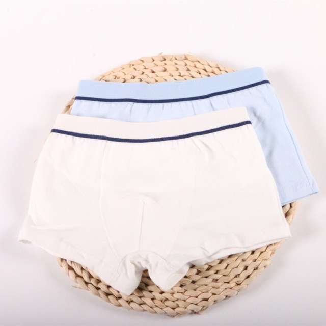 2Pc/lot Boys Pure Cotton Soft Boxers Underpants Baby Cute Kids Underwear Short Pant 2-10Y