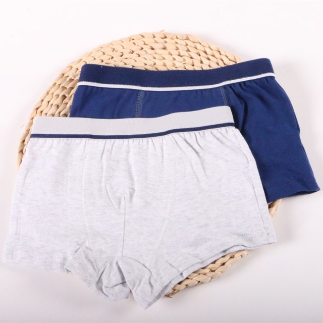 2Pc/lot Boys Pure Cotton Soft Boxers Underpants Baby Cute Kids Underwear Short Pant 2-10Y