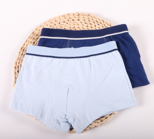 2Pc/lot Boys Pure Cotton Soft Boxers Underpants Baby Cute Kids Underwear Short Pant 2-10Y