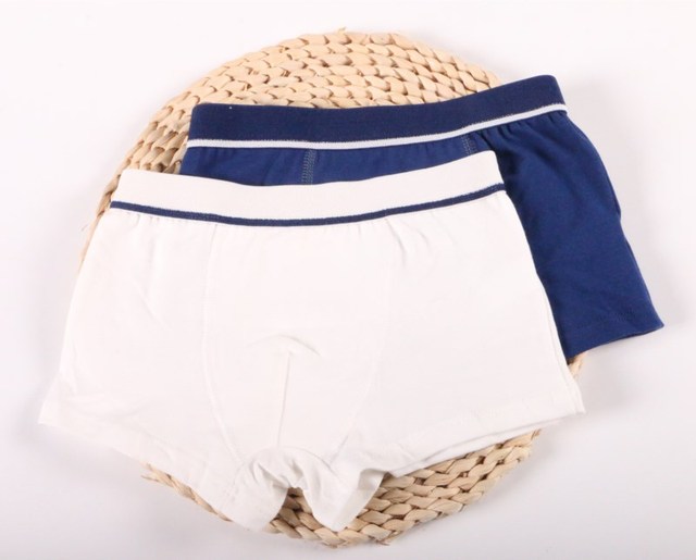 2Pc/lot Boys Pure Cotton Soft Boxers Underpants Baby Cute Kids Underwear Short Pant 2-10Y