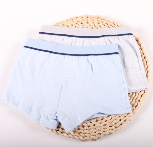2Pc/lot Boys Pure Cotton Soft Boxers Underpants Baby Cute Kids Underwear Short Pant 2-10Y