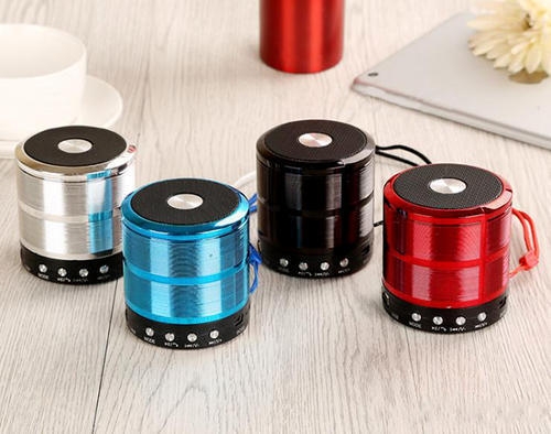 Wster Mini Bluetooth Speakers With MP3 And FM Radio