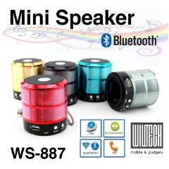 Wster Mini Bluetooth Speakers With MP3 And FM Radio