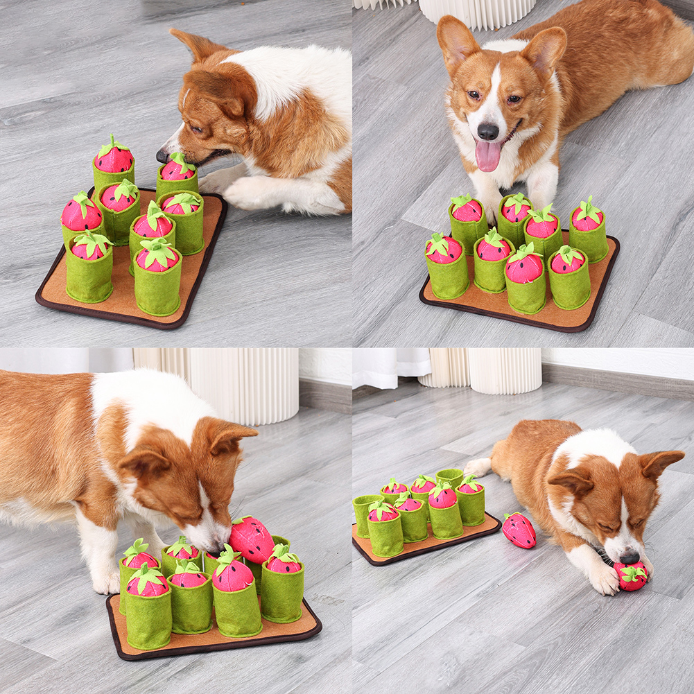 Interactive IQ Dog Cat Snuffle Mat Puzzle Seek Food Feeder Chew Educational Toys Stress Release Pet Nose Pad