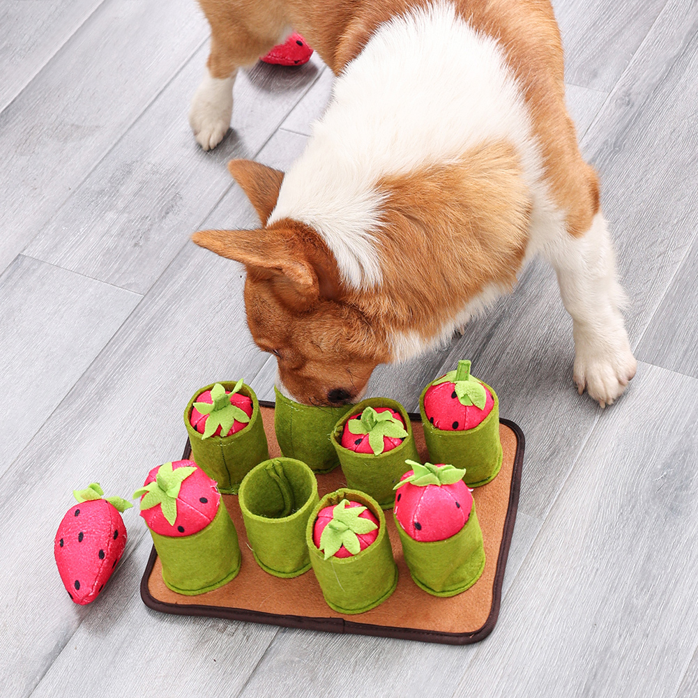 Interactive IQ Dog Cat Snuffle Mat Puzzle Seek Food Feeder Chew Educational Toys Stress Release Pet Nose Pad