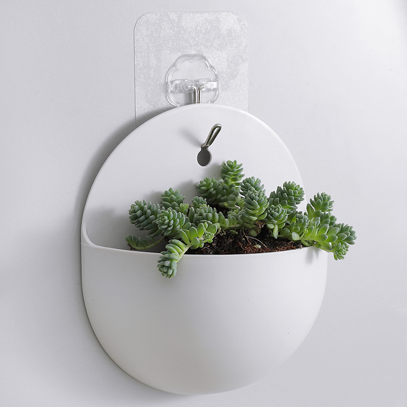 Simple Wall Mounted Vase Hydroponic Plant Hanging Flower Vase Green Dill Flowerpot Basket Planter Garden Home Decoration 2022