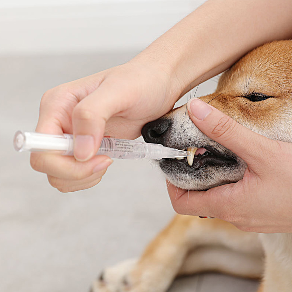 2Pcs Dog Cat Pet Teeth Cleaning Pen Kit Brightening Grooming Toothbrush Dental Calculus Safe Tartar Remove Tool Mouth Fresh New